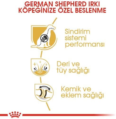 41KFWLxNHqL._AC_