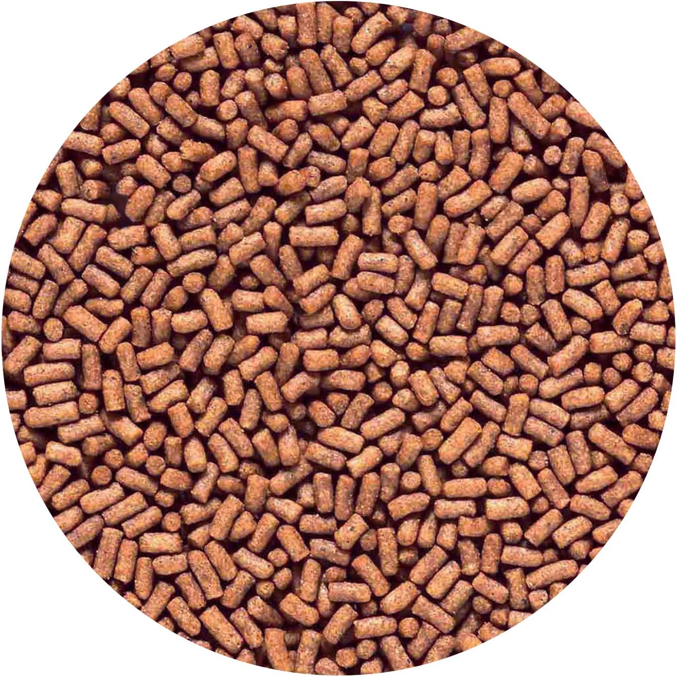 81tIzbkB-9L._AC_SL1500_