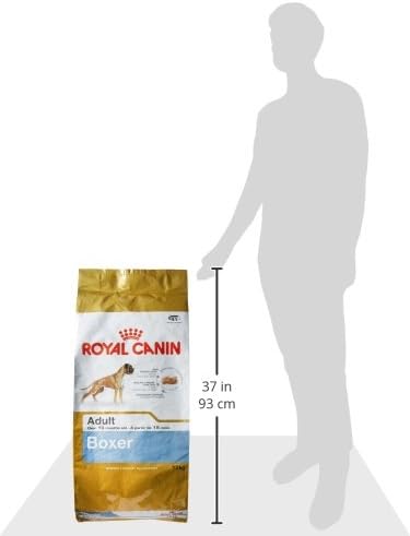 31x1hTe8cAL._AC_