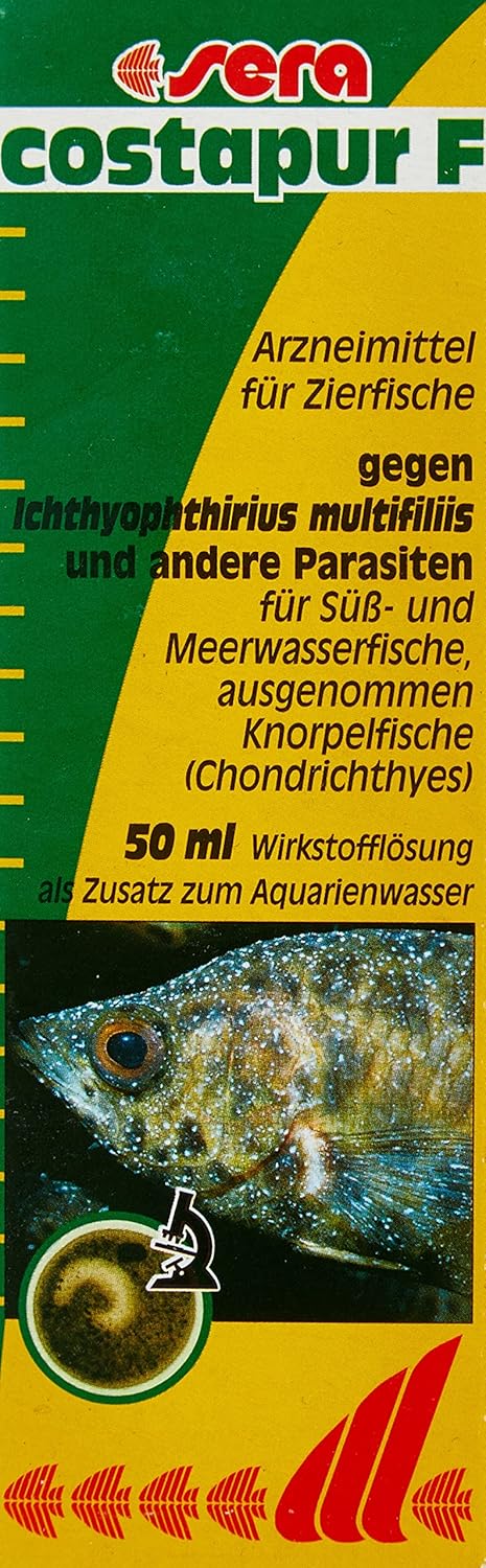 810wJd-K0sL._AC_SL1500_