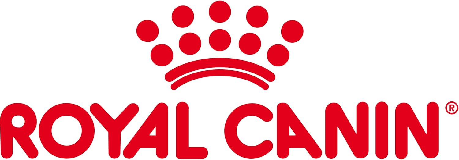 61X58YVrUBL._AC_SL1500_