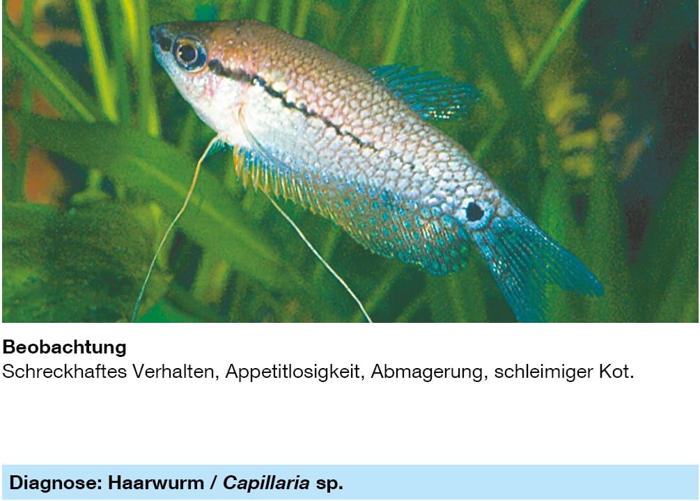 71iePBbEUzL._AC_SL1500_