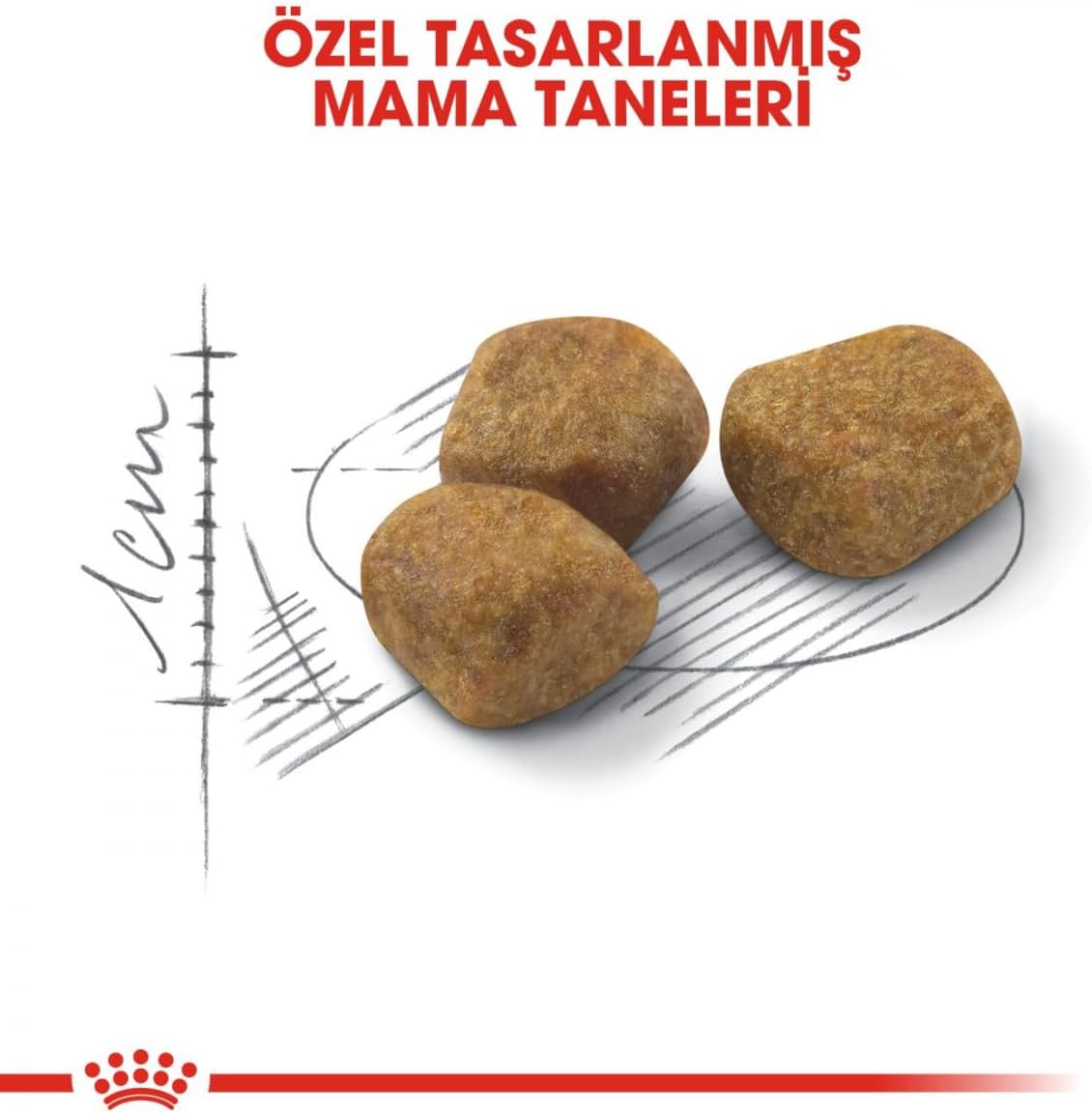 61bCeYBulHL._AC_SL1200_