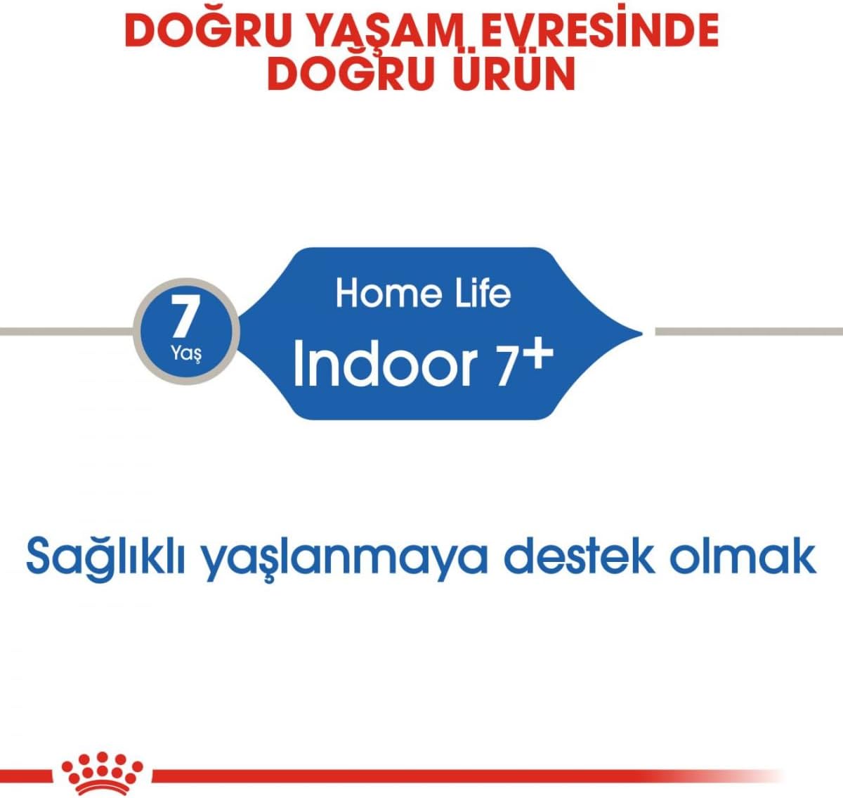 5199PihAnxL._AC_SL1200_