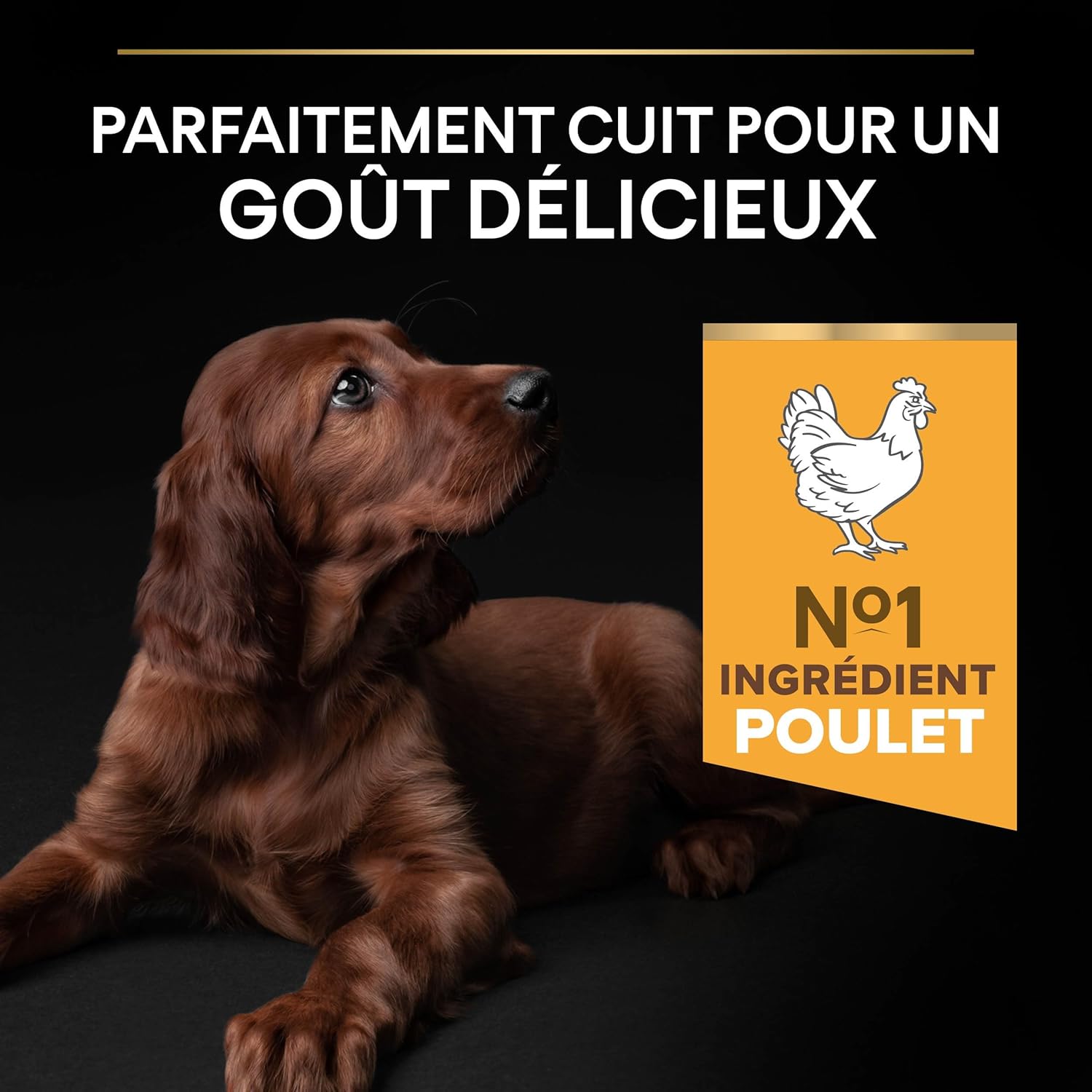 71b0lsQhhnL._AC_SL1500_