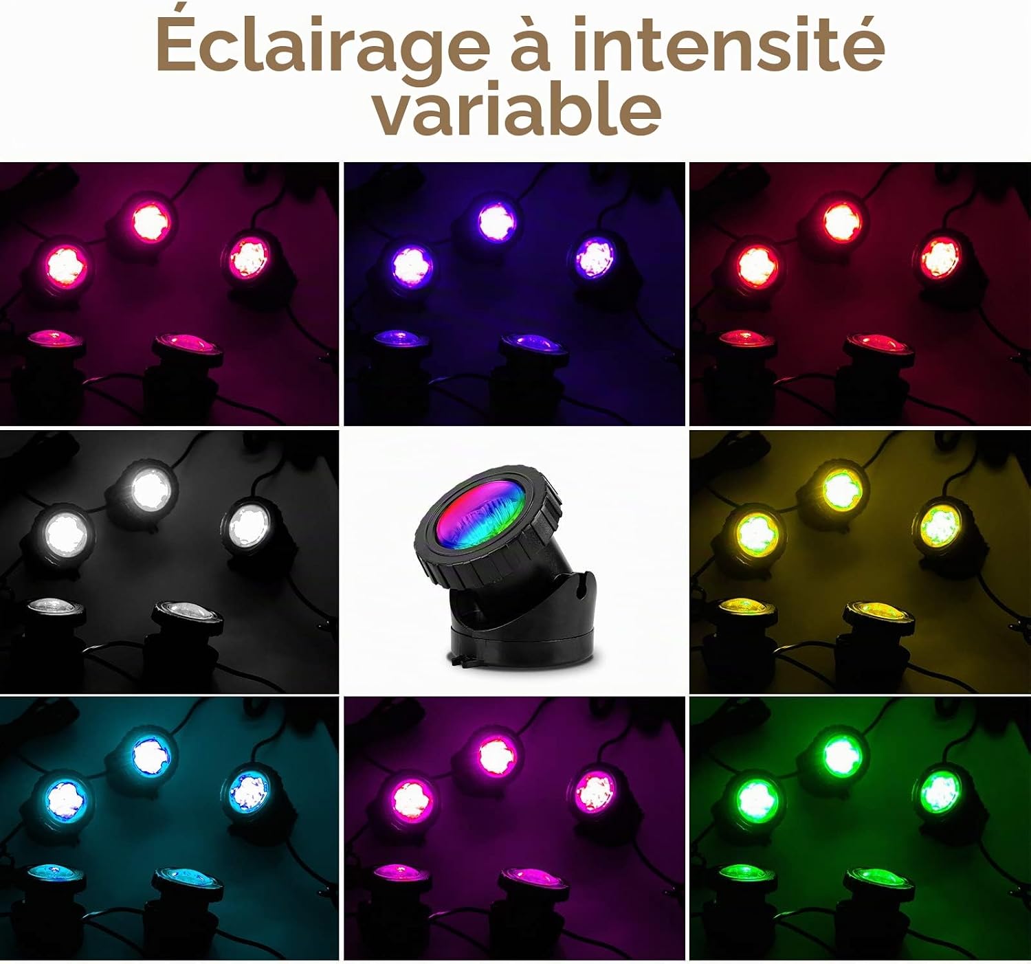 71eTInrPP8L._AC_SL1500_