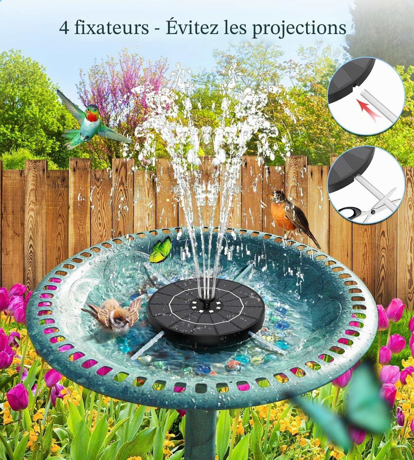 812x73-qTgL._AC_SL1500_