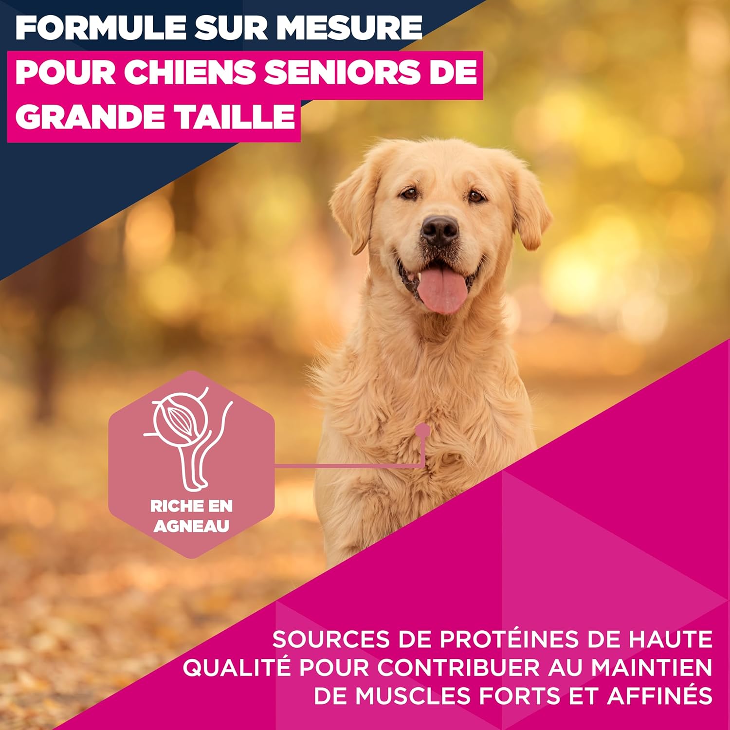 81OQ0gGfFHL._AC_SL1500_
