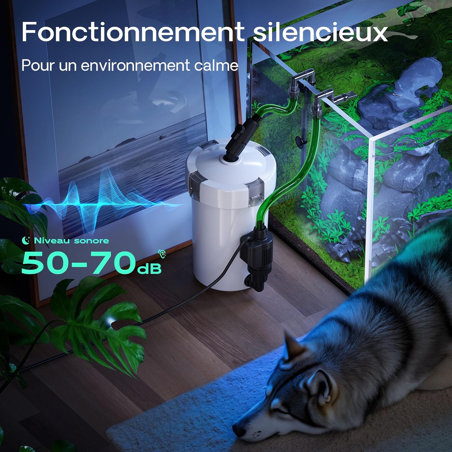 81V2LY5UFKL._AC_SL1500_