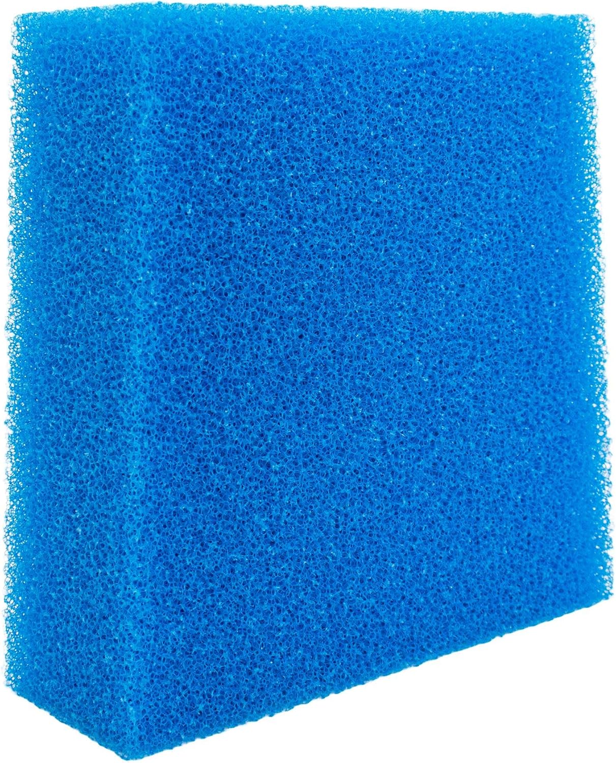 81yADZgLR-L._AC_SL1500_