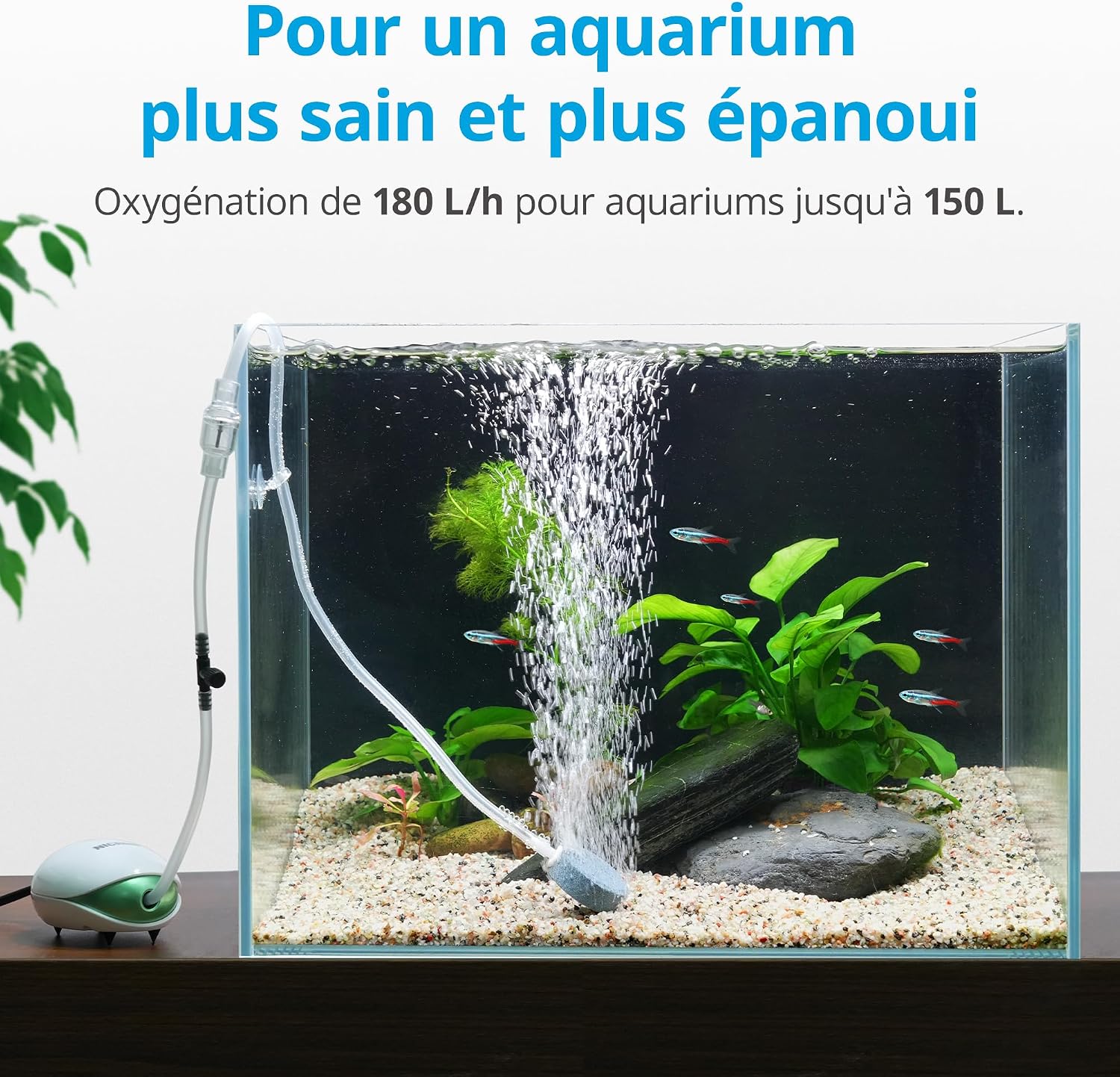 81LCjG0TKcL._AC_SL1500_