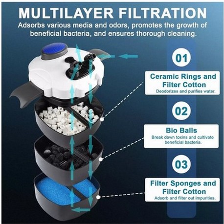 Quelle est la meilleure filtration pour un aquarium d'Orandas ?