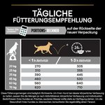 81SzTeiWAlL._AC_SL1500_