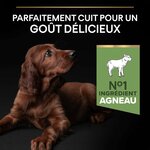 71-gNxzN7WL._AC_SL1500_