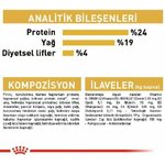 51ScvPg+TEL._AC_