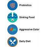 513qXB1MTmL._AC_SL1000_