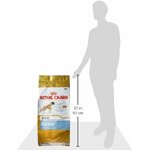 31x1hTe8cAL._AC_