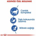 61bI+Y4+1TL._AC_SL1200_