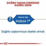 5199PihAnxL._AC_SL1200_