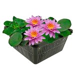 51AxviCAwBS