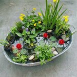 71O8g+wZp2L._AC_SL1024_