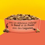 71sNGnaF1QL._AC_SL1500_