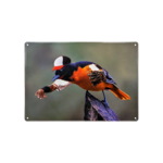 a3d7e1c528716fd35d106b6b8a624762
