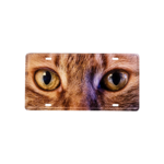 a3d7aab9cb09b1a3ffb9f14cf95cd95b