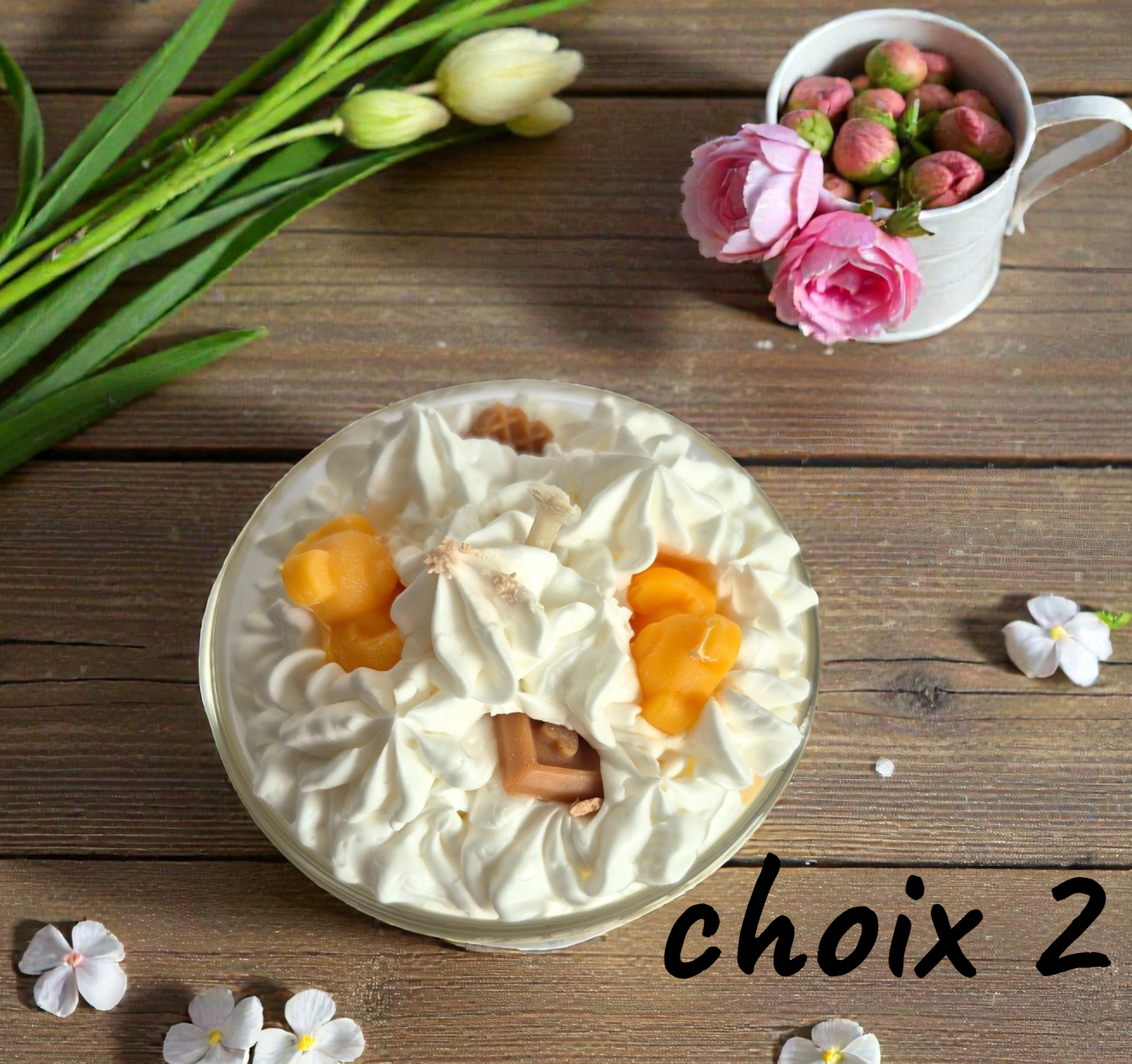 MIRABELLE choix 2 (1)
