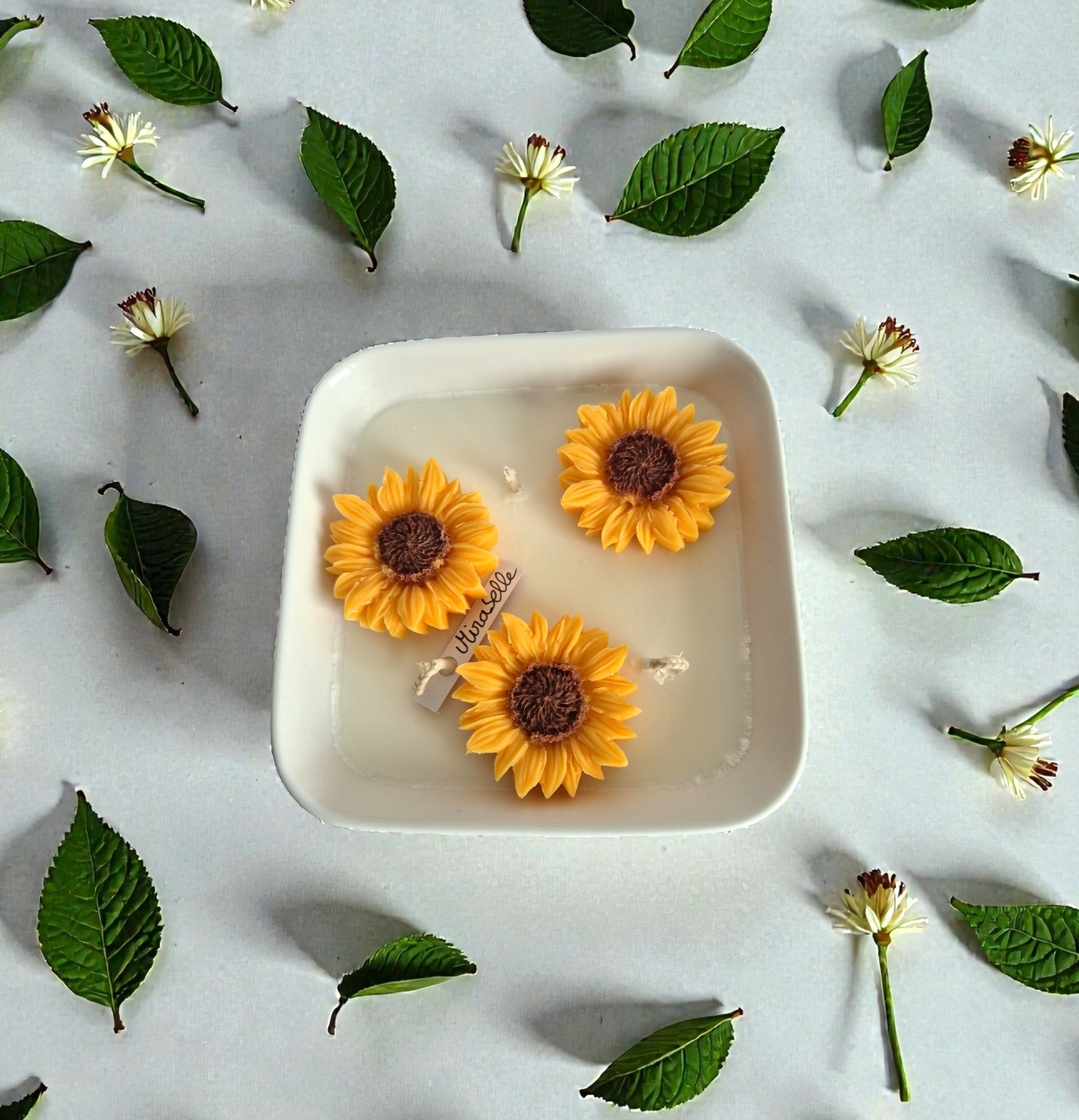 MIRABELLEA2