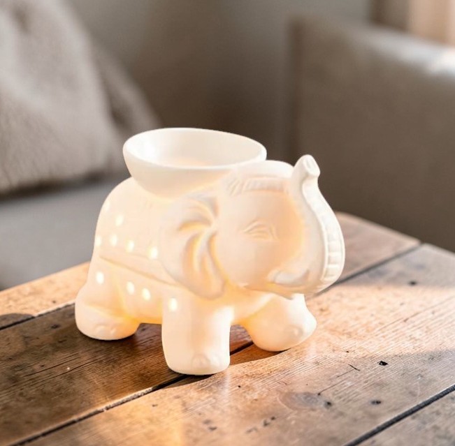 ELEPHANT 1