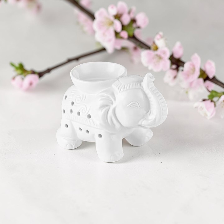 ELEPHANT2