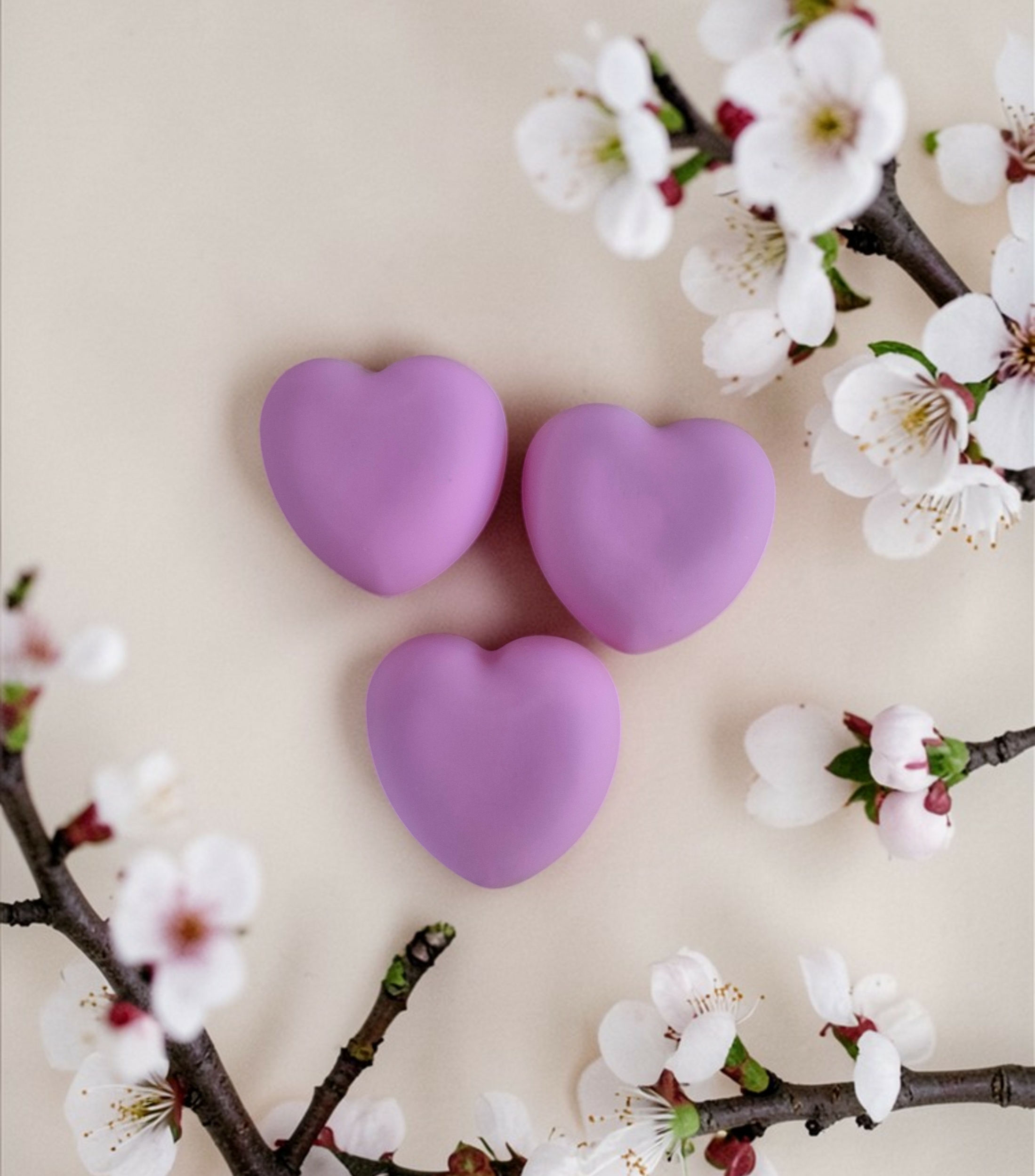 FONDANTSCOEUR3