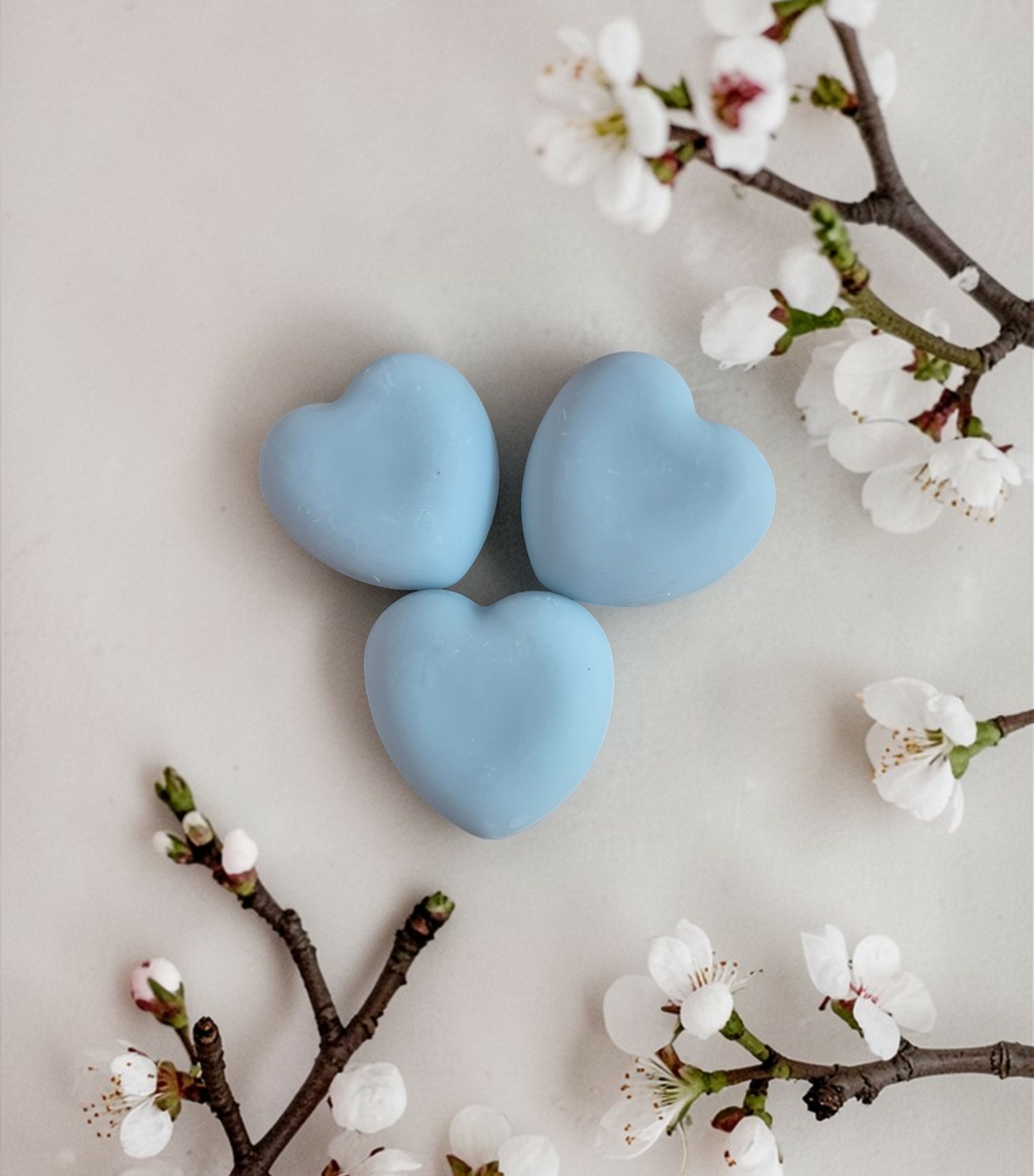 FONDANTSCOEUR4