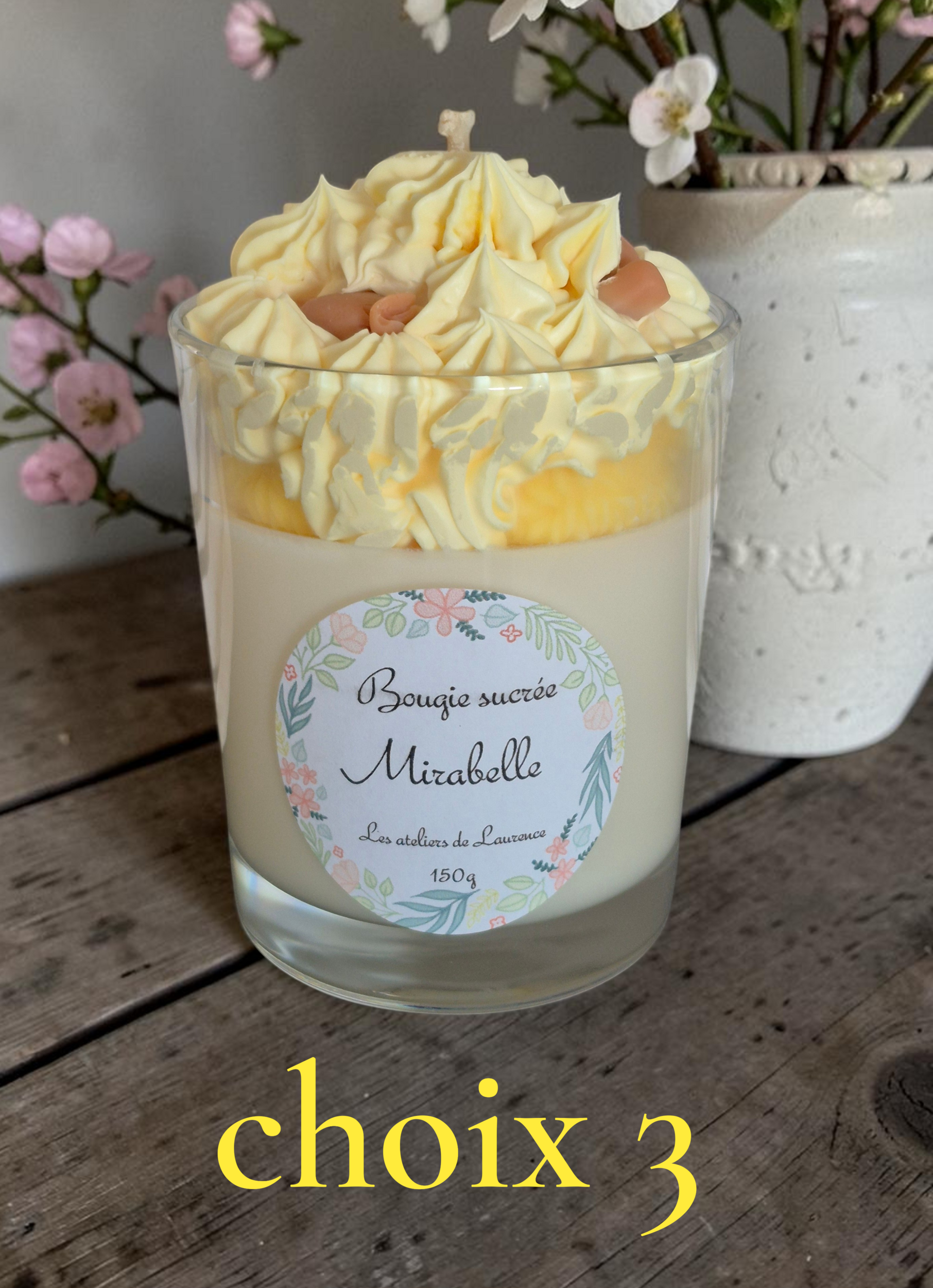 choix 3 mirabelle (1)