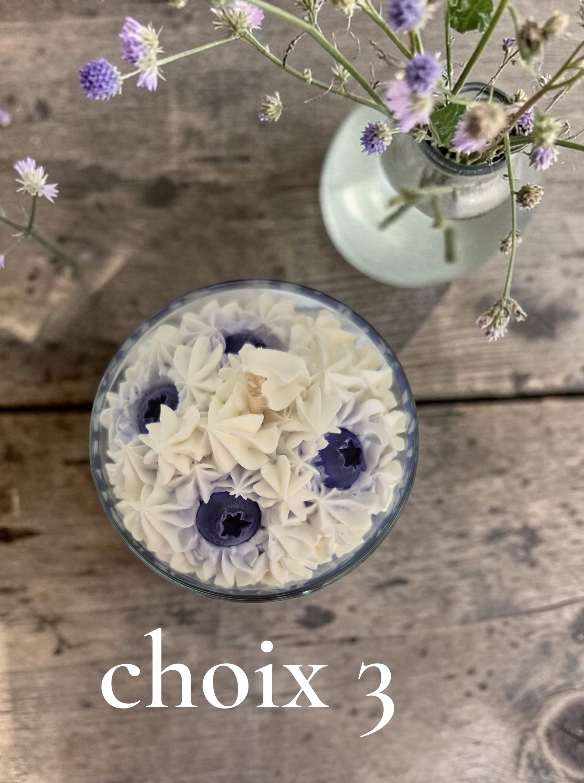 CHOIX 3 MYRTILLES 2