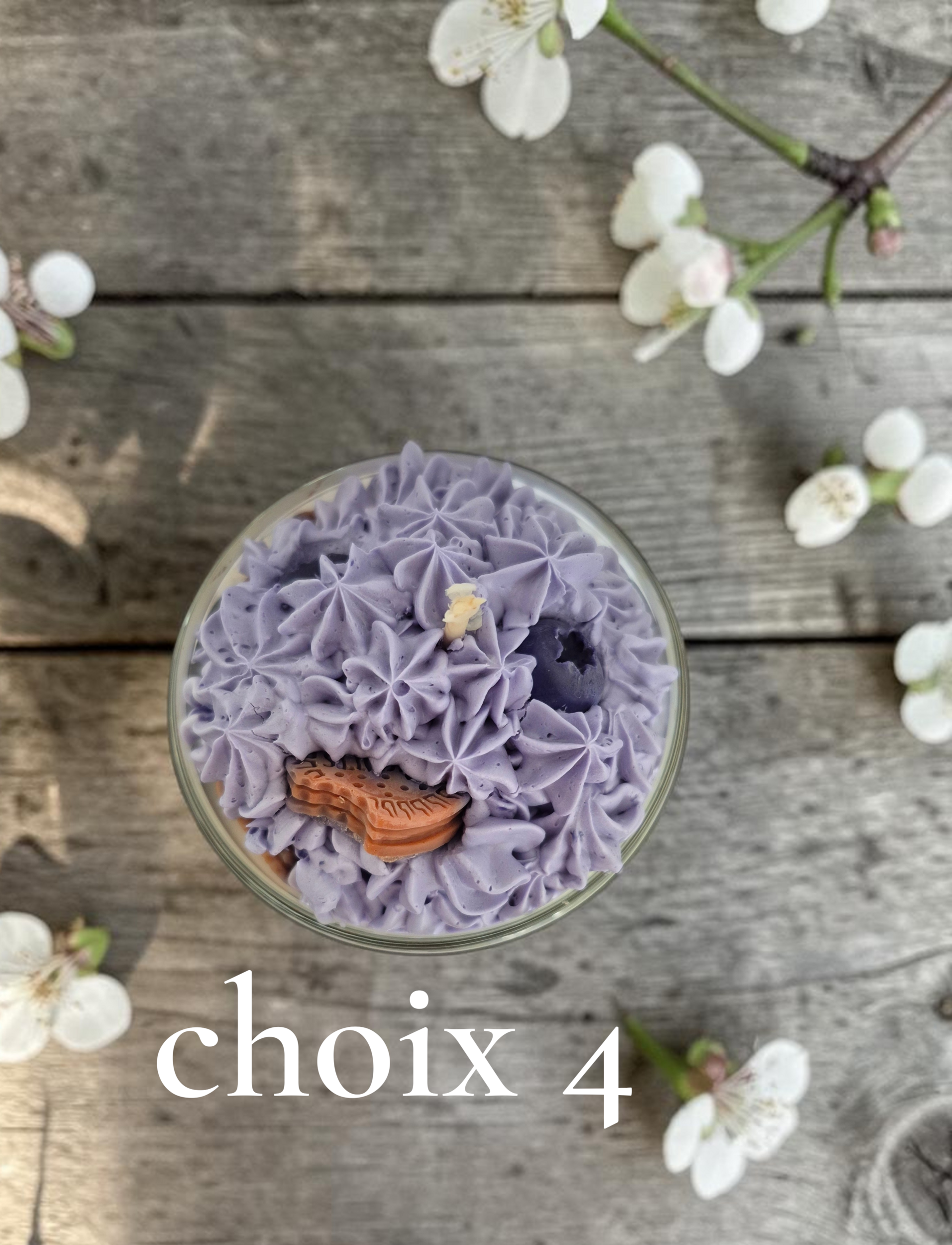 CHOIX 4 MYRTILLES 2