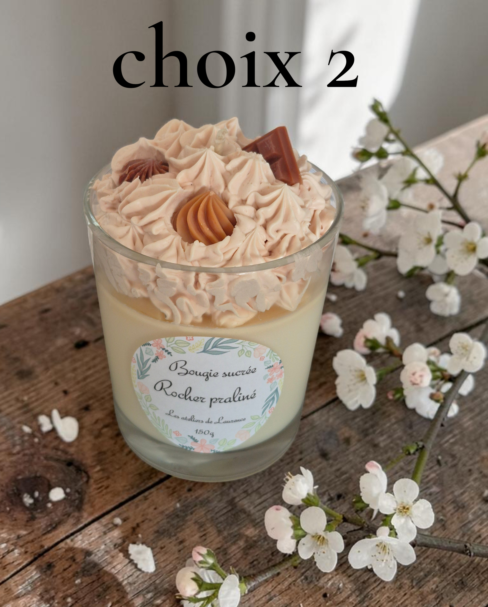 CHOIX 2 ROCHER