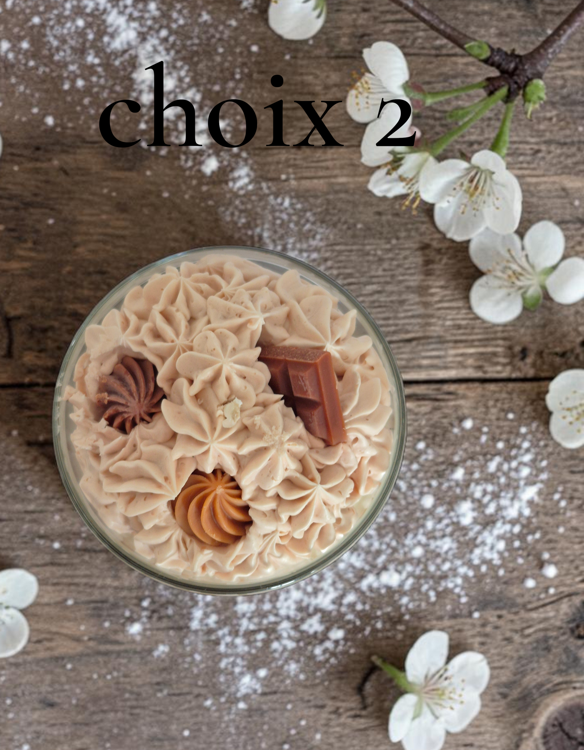 CHOIX 2 ROCHER (1)