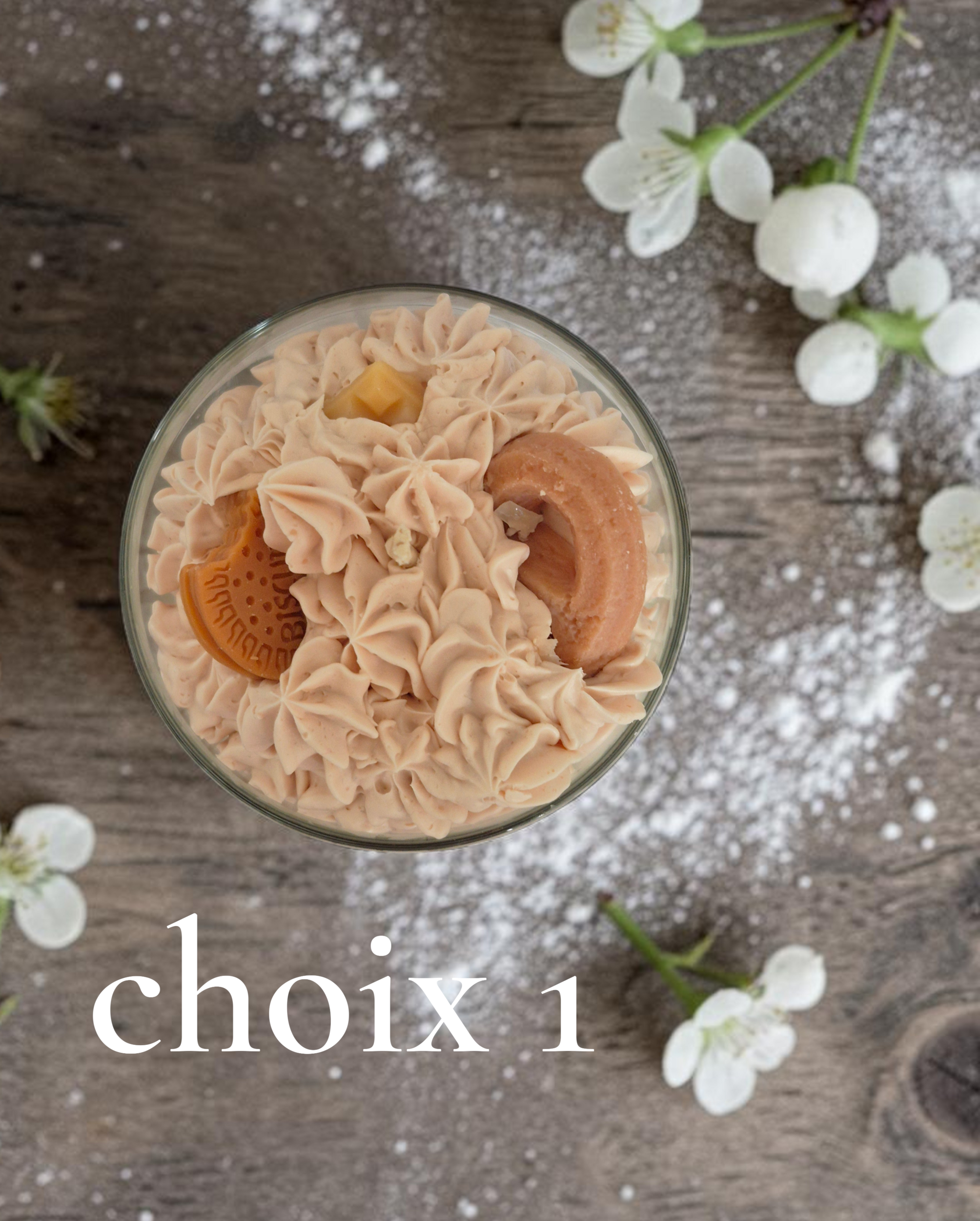 CHOIX 1 ROCHER (1)