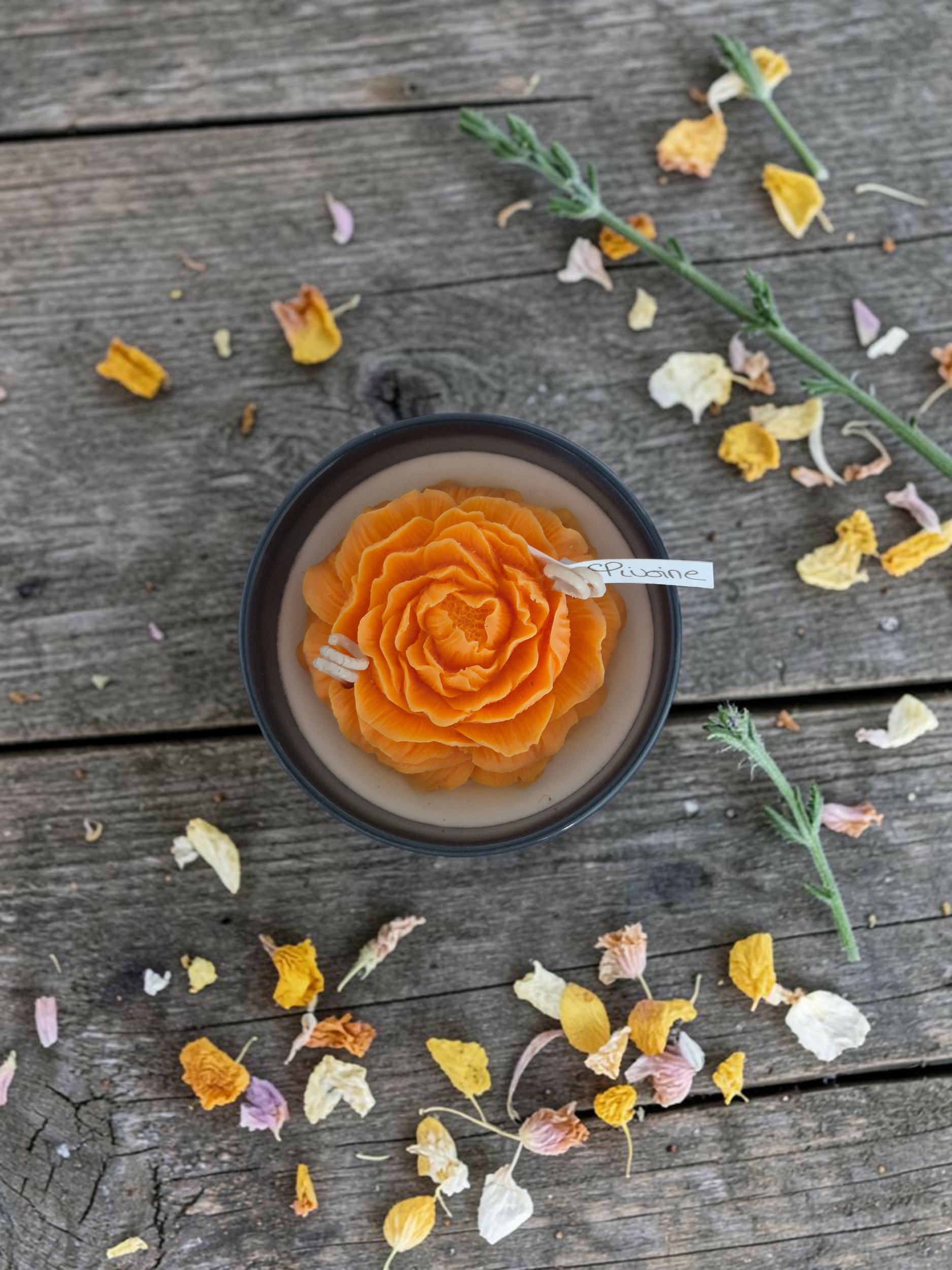 FLEUR PIVOINE (1)