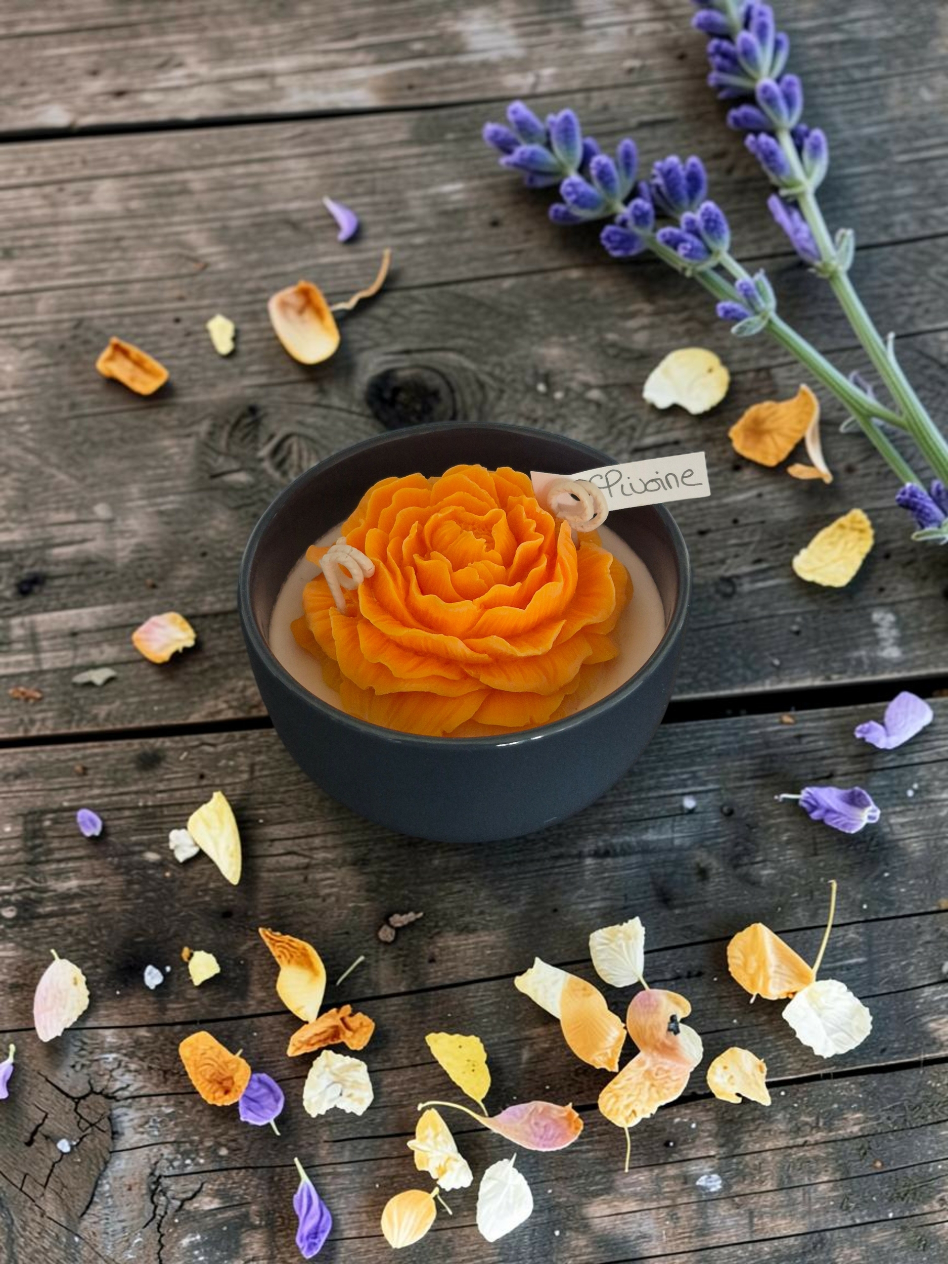 FLEUR PIVOINE