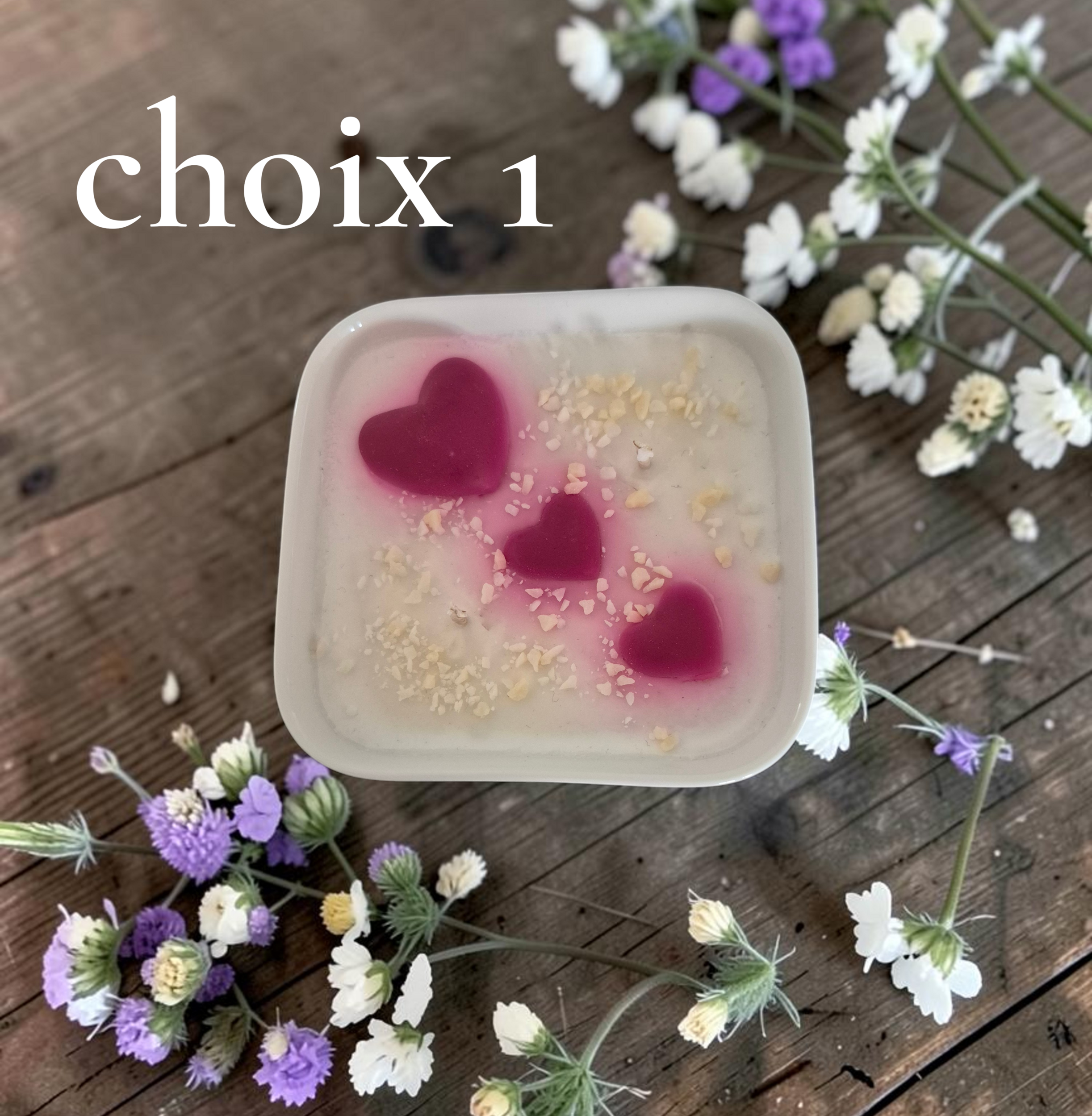 PETIT JARDIN CHOIX 1 (1)