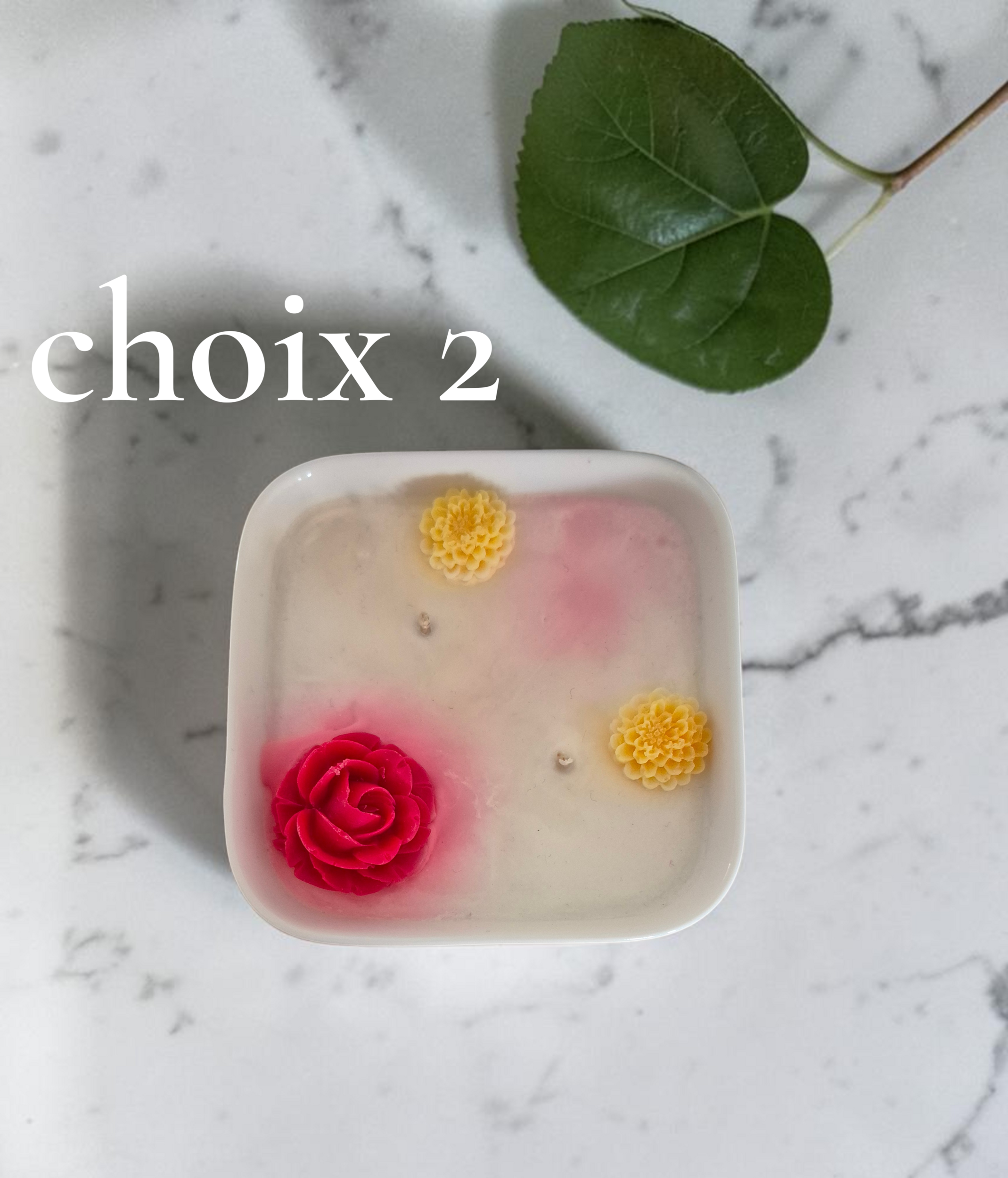 PETIT JARDIN CHOIX 2