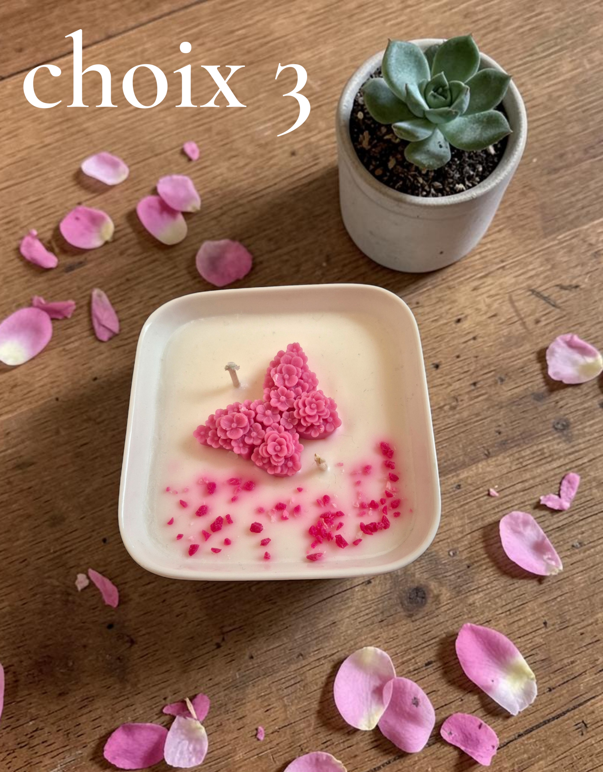 PETIT JARDIN CHOIX 3