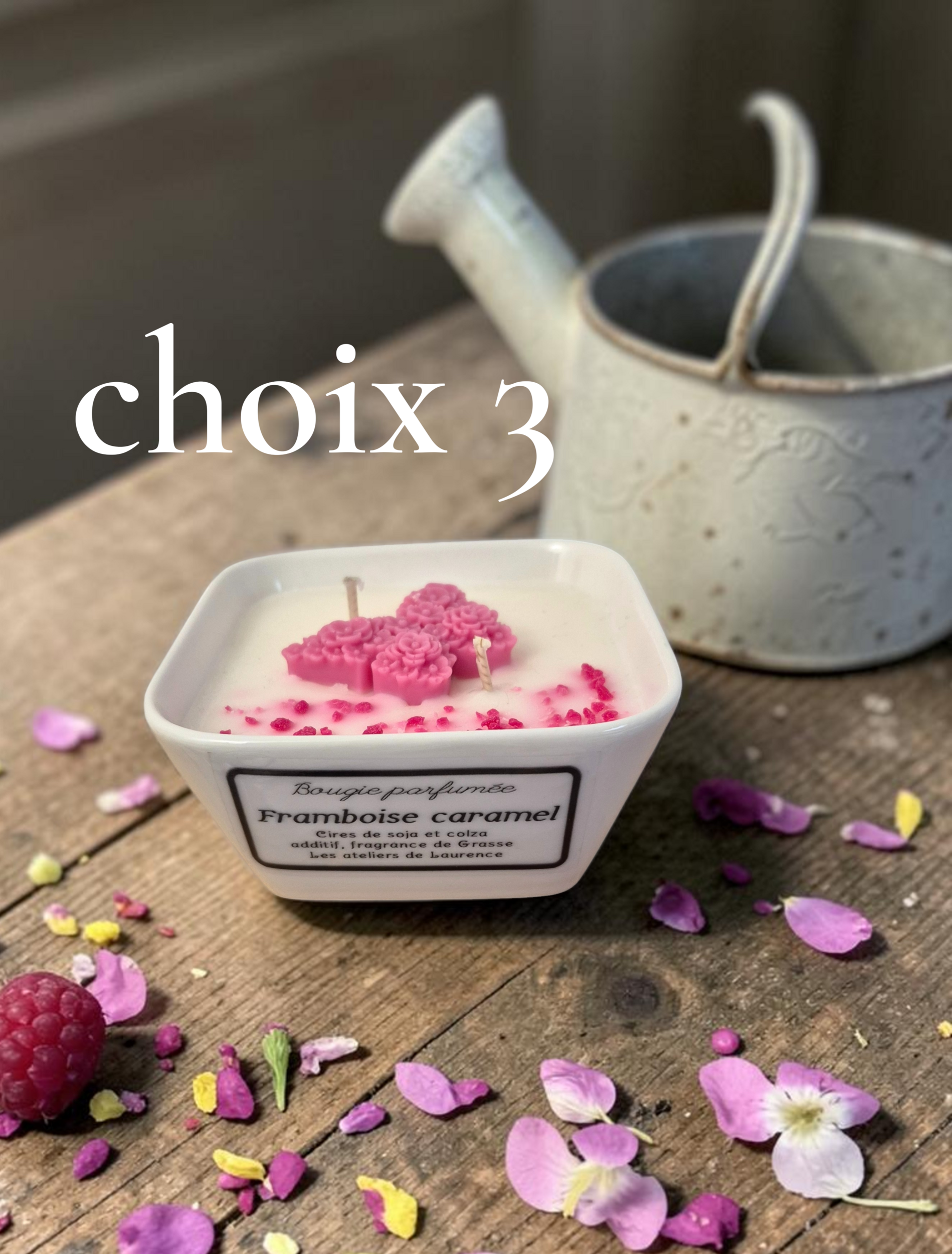 PETIT JARDIN CHOIX 3 (1)