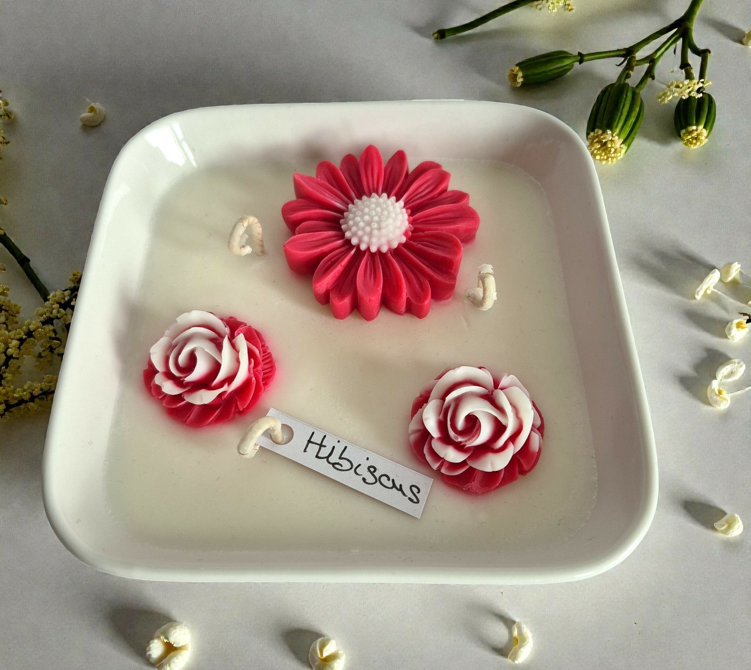 grand jardi hibiscus 4