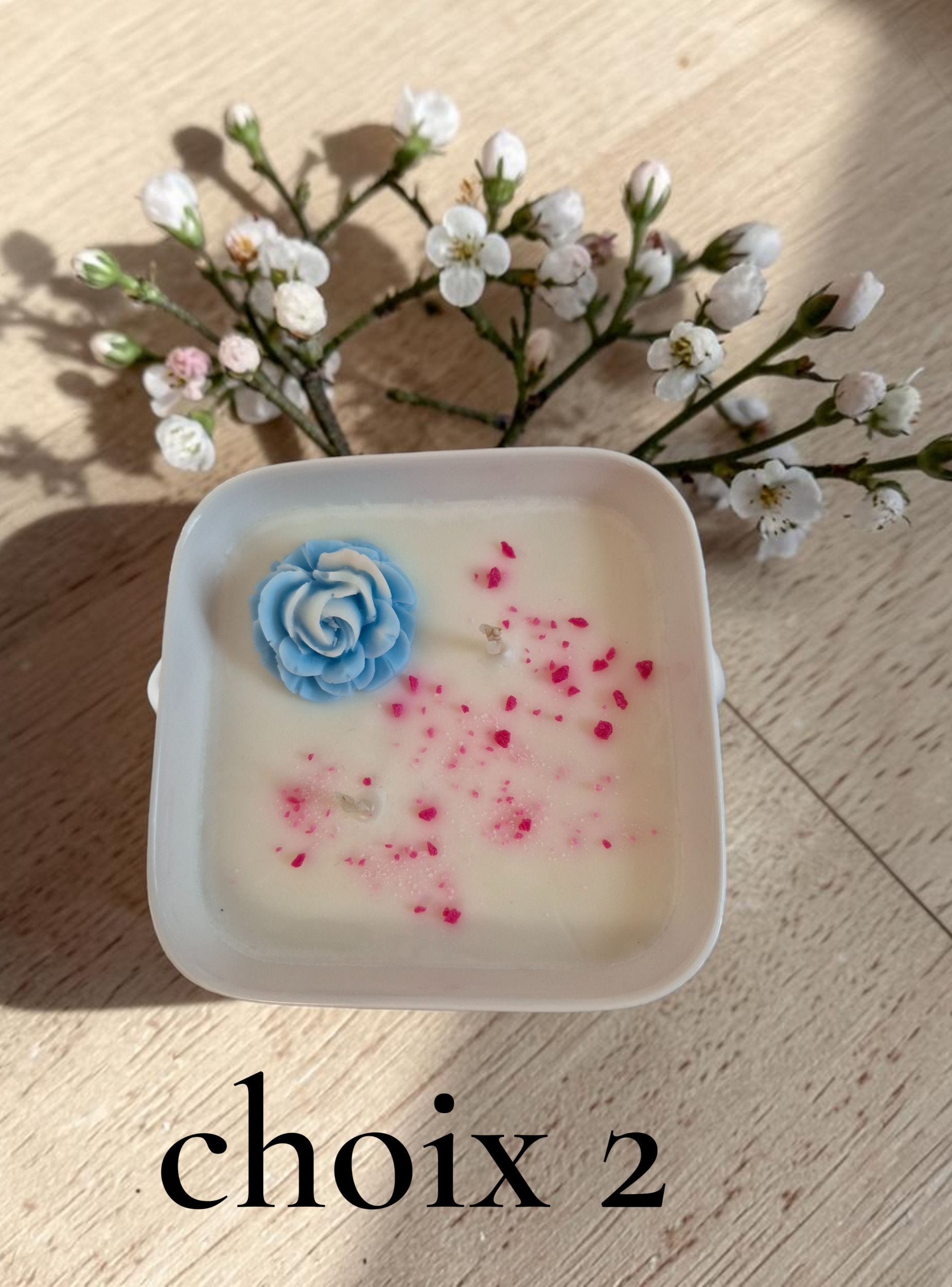 PETIT JARDIN CHOIX 2