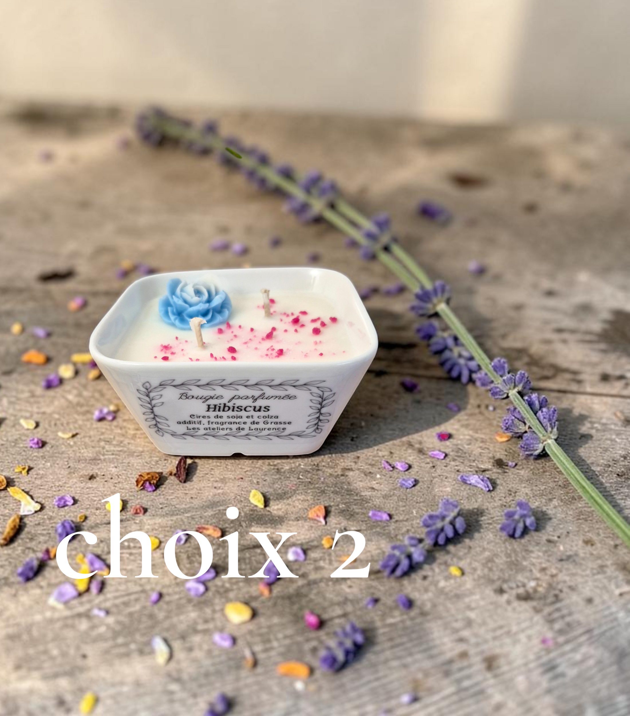 PETIT JARDIN CHOIX 2 (1)