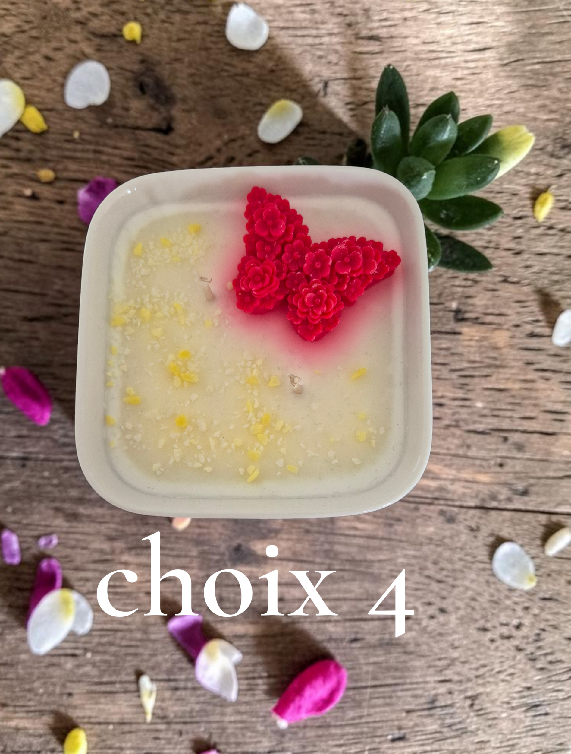 PETIT JARDIN CHOIX 4 (1)